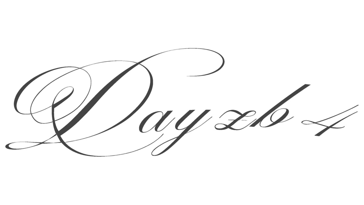 dayzb4